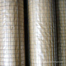 1/2 Inch Galvanized Welded Wire Mesh Price / Welded Wire Mesh Factory